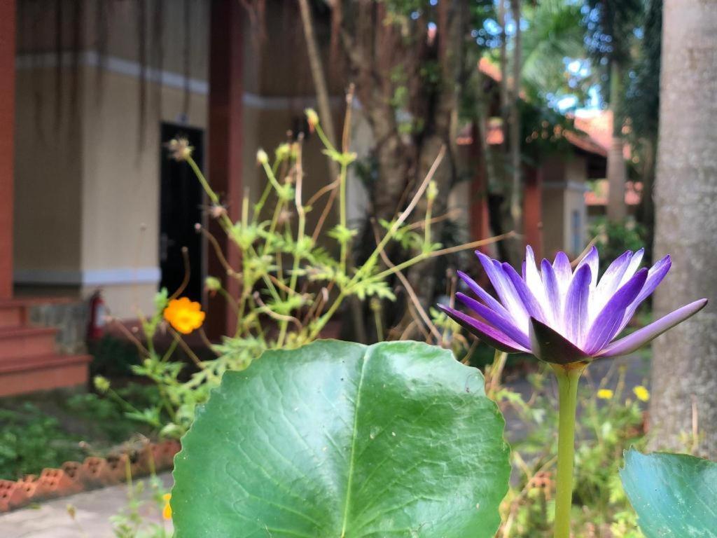 Castaways Resort Phu Quoc Esterno foto